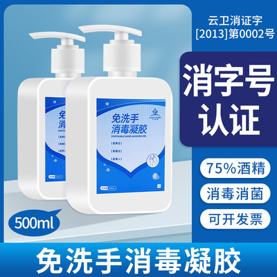 免洗手消毒凝胶500ml家用杀菌儿童学生按压消毒洗手液