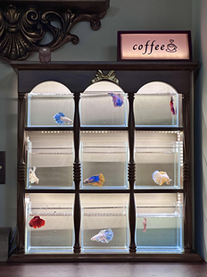 鱼缸造景生态缸小型桌面缸造景缸水族箱造景缸水族箱造景缸水族箱