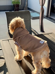 Pipipet宠物秋冬卫衣美拉德马尔美卡雪纳瑞猫通用