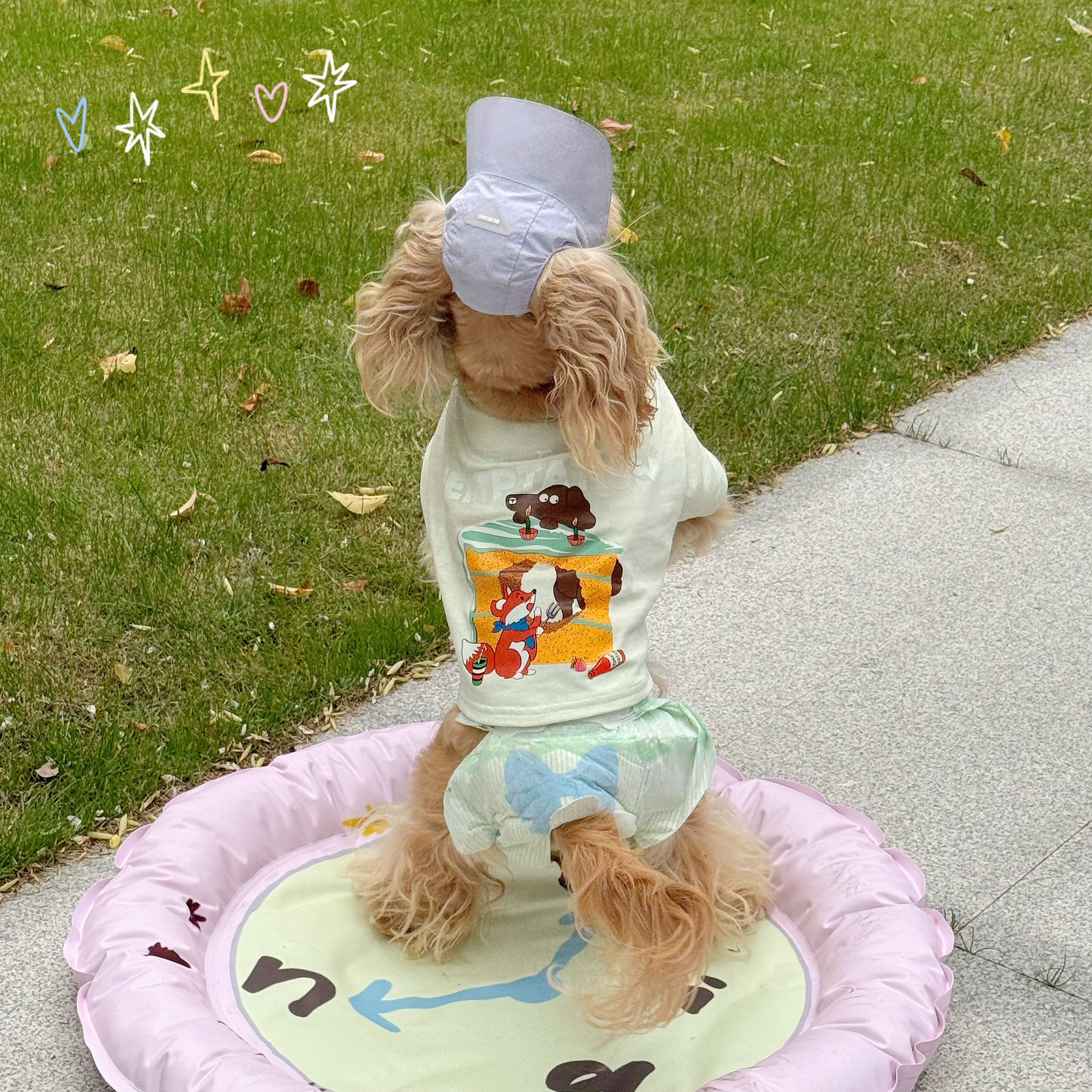 MIDNO宠物衣服夏季凉凉衣凉感泰迪博美薄款比熊美卡猫咪衣服图片