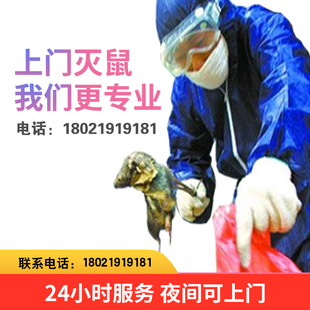 苏州无锡上门灭虫灭鼠灭蟑螂蚂蚁老鼠防治家庭专业杀虫公司灭白蚁