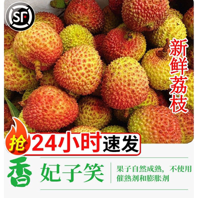 顺丰包邮海南妃子笑大果荔枝