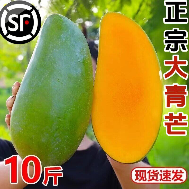 正宗云南大青芒10斤新鲜包邮