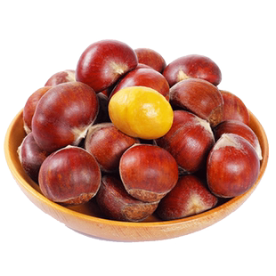 丹东生板栗新鲜板栗生农家现摘现发生栗子5斤装油栗3板栗毛栗大果