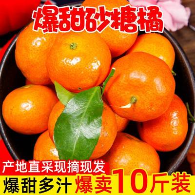 广西砂糖橘正宗沙糖桔子新鲜9斤