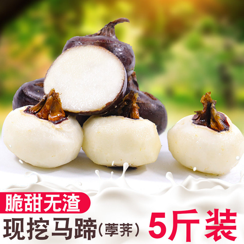 现挖马蹄9斤荸荠新鲜蔬菜即食