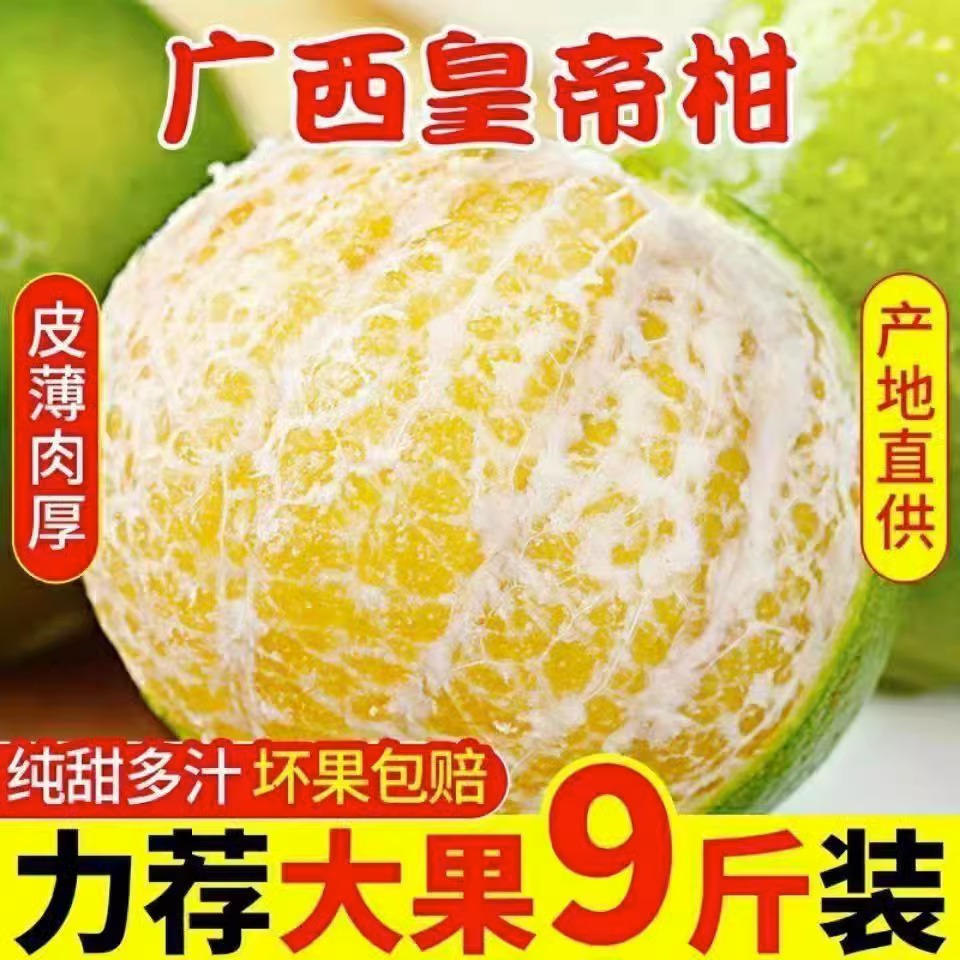 广西皇帝柑10斤大果橘子当季整箱