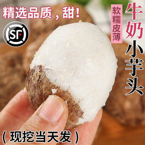 牛奶芋头皮薄小香芋5斤现挖