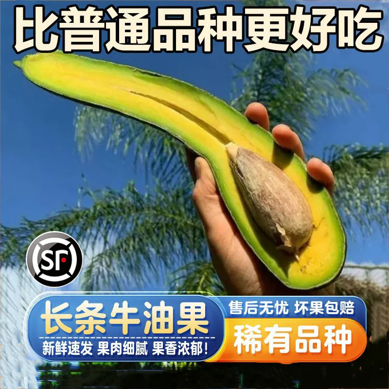 新鲜哈斯牛油果长条稀有顺丰