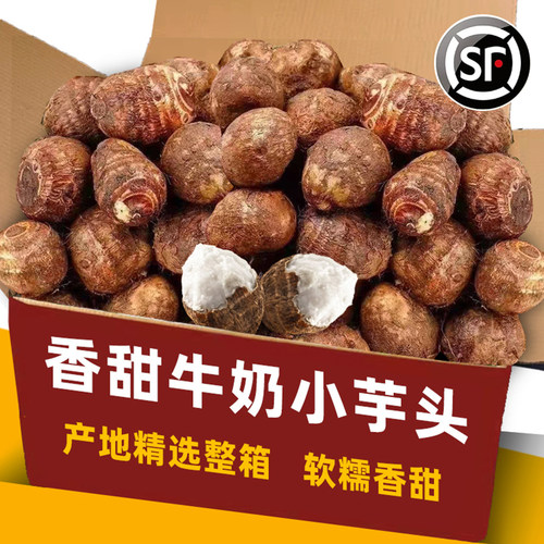新鲜现挖牛奶小芋头糯香滑整箱