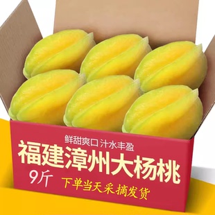 現發山楊桃能吃水果五角星楊桃果生甜清火鮮果24H當天采摘發 包郵