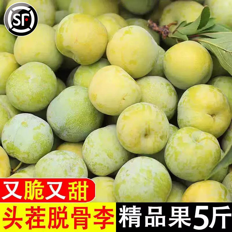 现摘青脆李脱骨李大果5斤装新鲜水果半边红整箱顺丰包邮甜青脆李3