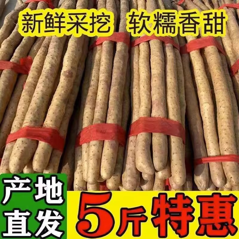河南正宗焦作温县垆土铁棍山药新鲜现挖粉糯怀淮山生铁杆甘甜包邮