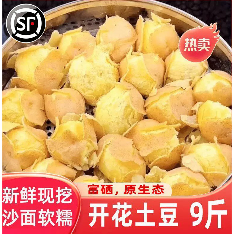 新鲜现挖甘肃定西黄心土豆9斤装沙面软糯原生态富硒蔬菜希森土豆5