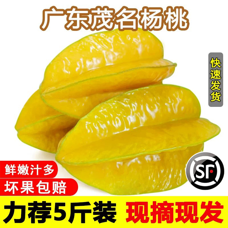 广东老农黄杨桃水果当季红龙杨桃大果树上熟新鲜包邮5斤甜桃包邮