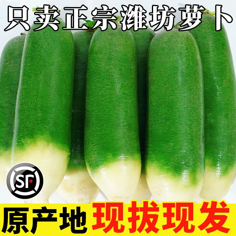 山东潍坊水果萝卜9斤水果型潍县沙窝萝卜甜脆新鲜青萝卜特产正宗1