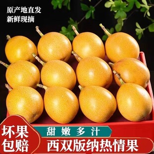 纳稀有黄金百香果现货哥伦比亚热情果高端水果新鲜现摘 云南西双版