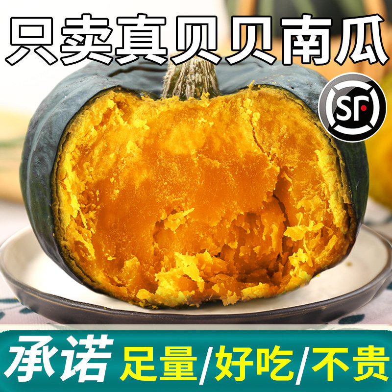 正宗板栗味贝贝南瓜新鲜惠和一号