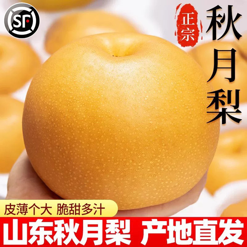 正宗山东莱阳秋月梨新鲜梨子当季10斤冰糖甜梨雪梨蜜梨现摘整箱10