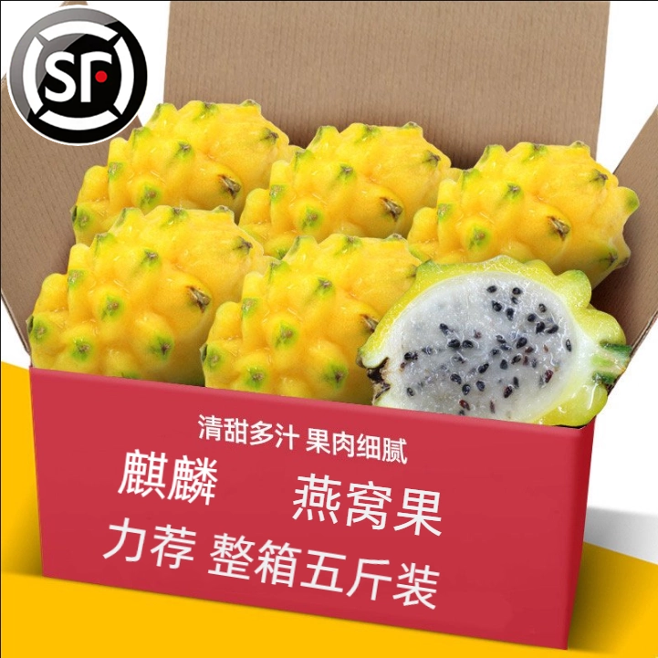 现摘燕窝果麒麟果黄色燕窝果新鲜水果黄色火龙果源头直发包邮6