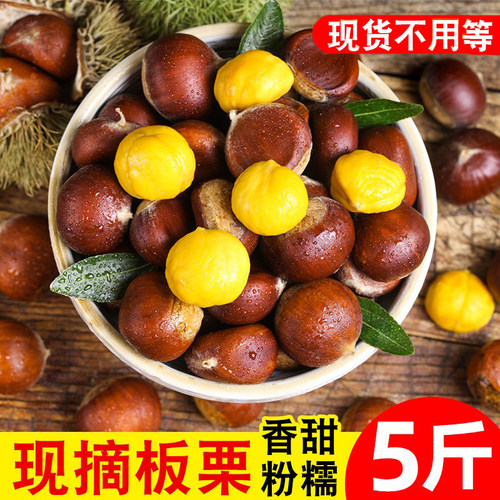 丹东去毛球包邮当季高山新鲜板栗