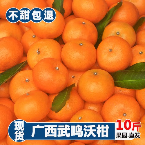 广西武鸣沃柑新鲜10斤特大桔子