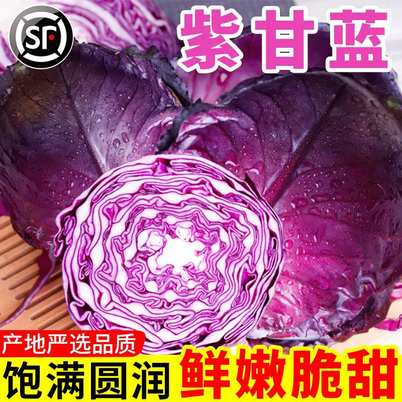 甘肃农家新鲜紫甘蓝脆嫩沙拉