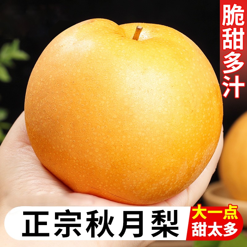 山东正宗秋月梨鲜甜多汁