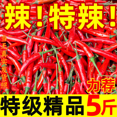超辣指天椒价格 超辣指天椒图片 星期三