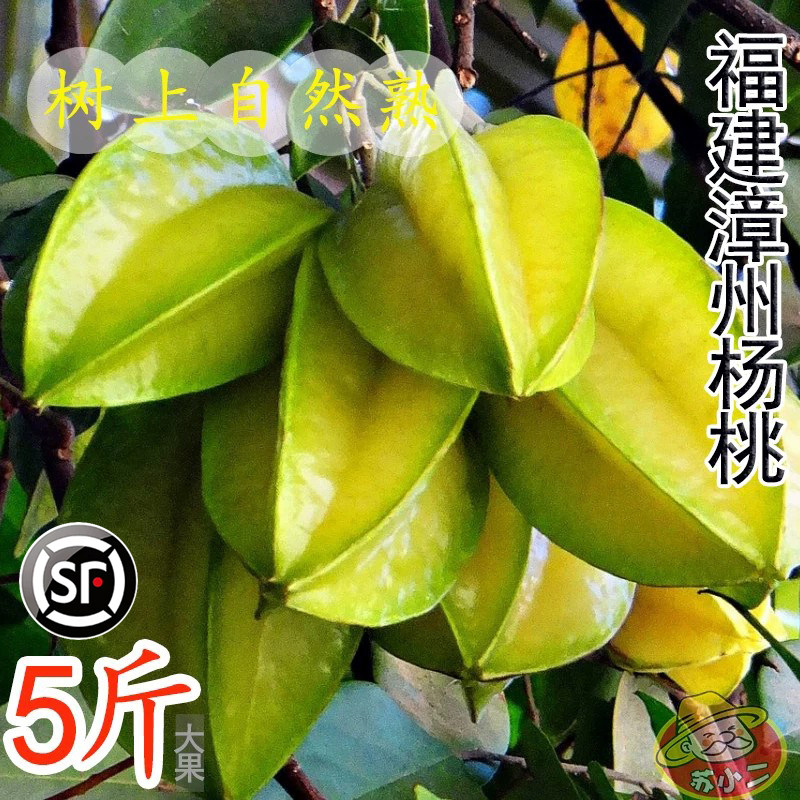 福建漳州甜杨桃5斤水果当季整箱洋桃鲜果新鲜红龙扬桃五角星阳桃6