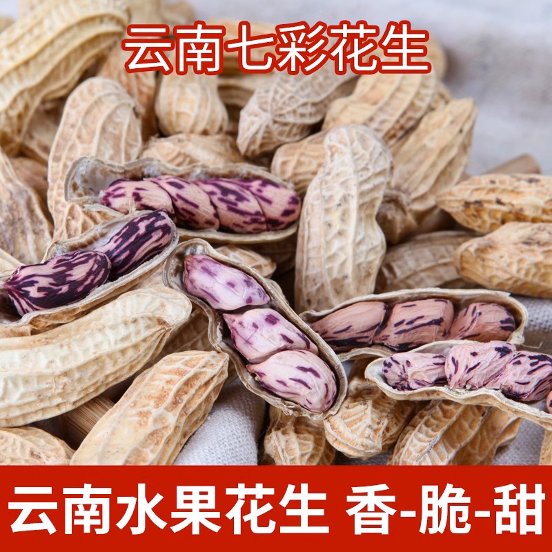 现挖云南七彩新鲜湿花生10斤
