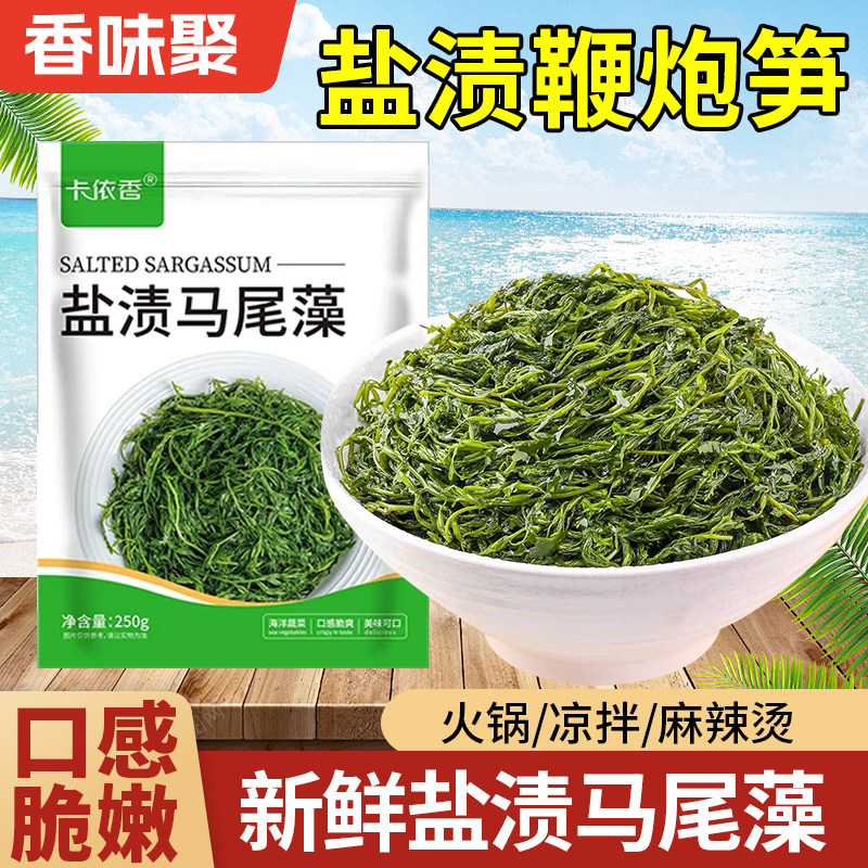 盐渍鞭炮笋海笋长寿菜凉拌菜海草藻菜火锅食材鞭泡笋马尾藻小吃