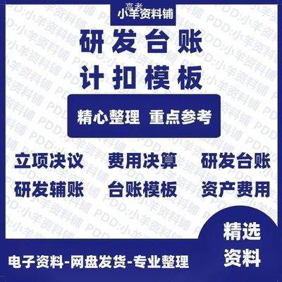 企业研发费用台账模板费用决算立项决议研发辅助账资产计扣