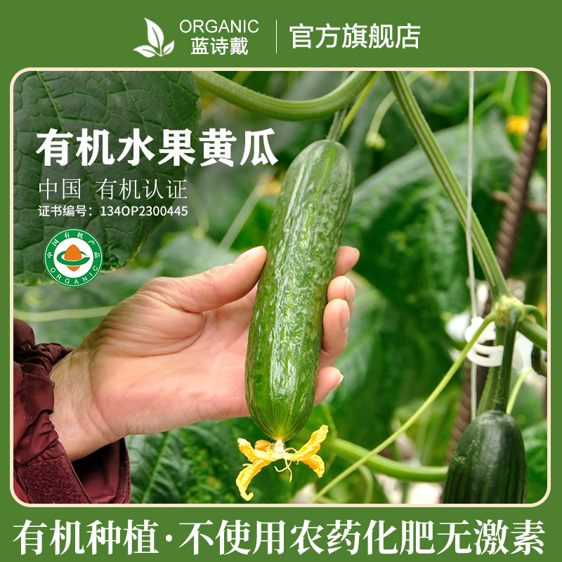 有机水果黄瓜新鲜现摘现发当季时令蔬菜自种无农药无化肥顺丰包邮