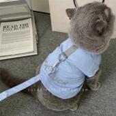 小型犬比熊泰迪博美 薄款 拍照会反光牵引绳胸背 狗狗猫咪衣服夏季