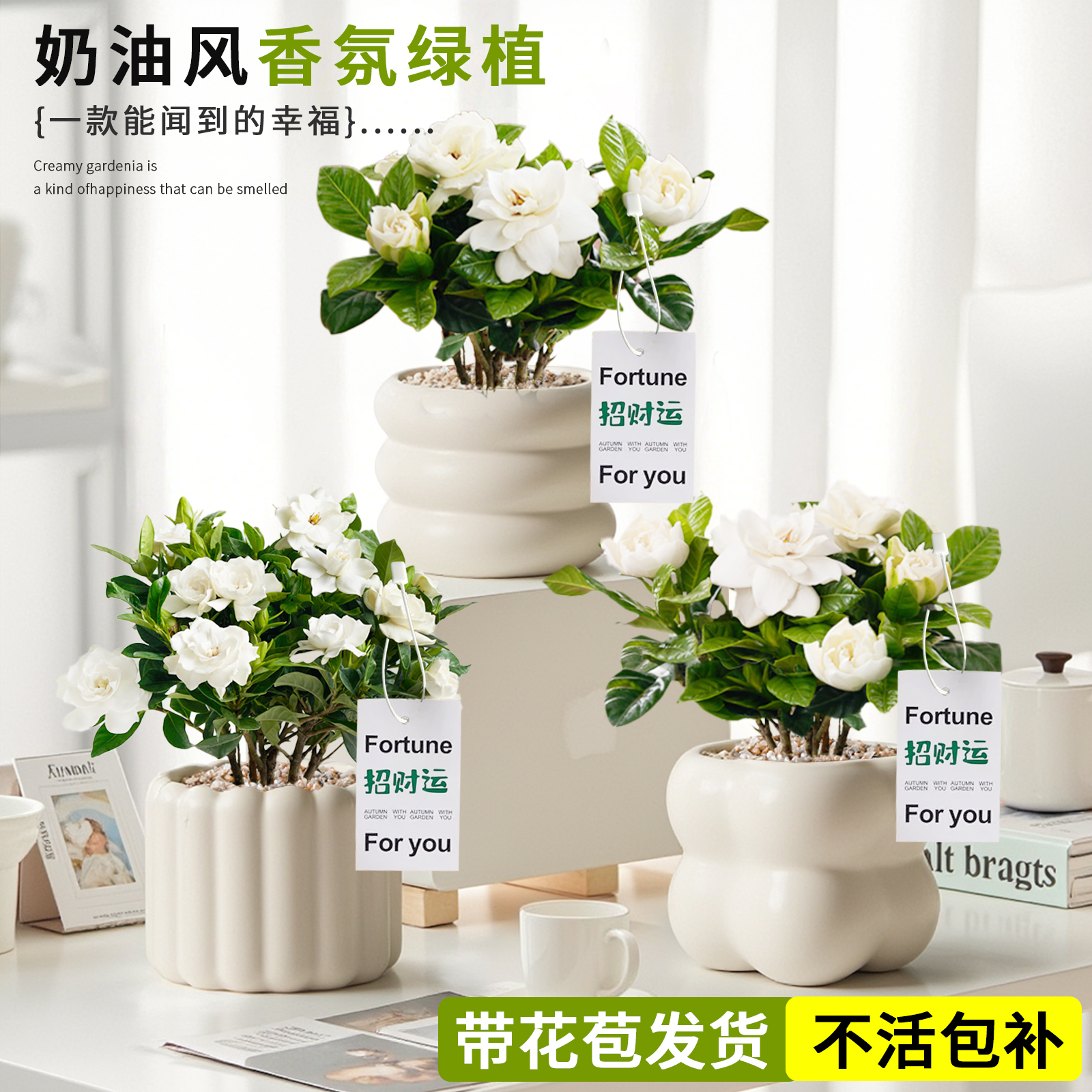 栀子花盆栽浓香四季好养开花卉办公室内桌面绿植物懒人适合养的花