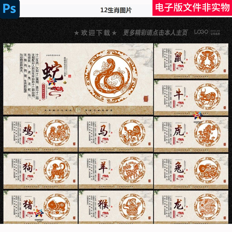12生肖十二生肖文化十二生肖挂图传统生肖文化十二生肖系列素材图