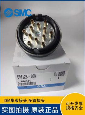 SMC原装DM12/DM12P/DM12S-06N/06NU/04N/04NU公母多孔对接头