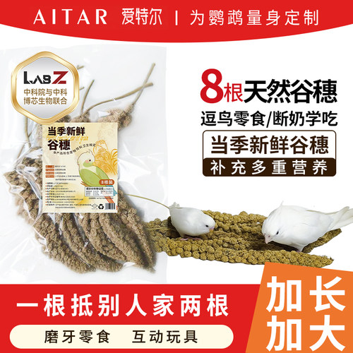 纯天然谷穗带壳谷子补充营养