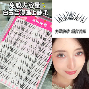 免胶白玉兰假睫毛仿真漫画感上镜自然日常卷翘根根分明上眼灵动感