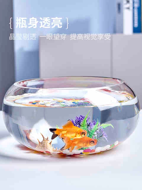 鱼缸普通玻璃扁形加厚钢化办公室小鱼缸小型金鱼缸客厅家用桌面d7
