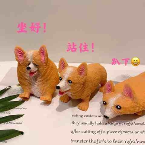 解压柯基犬创意彩盒装柯基发泄狗狗减压玩具可爱高颜值生日礼物d6