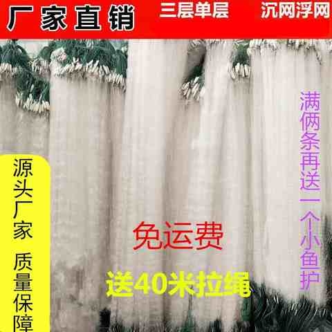 渔网粘网丝网捕小鱼网三层沉网单层浮网挂子网白条鲫鱼鲢鱼沾鱼d6