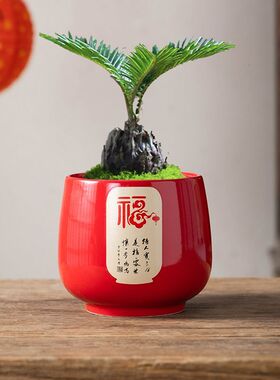 多肉花盆陶瓷中国风祝福词创意个性透气简约桌面装饰轻奢红色小盆
