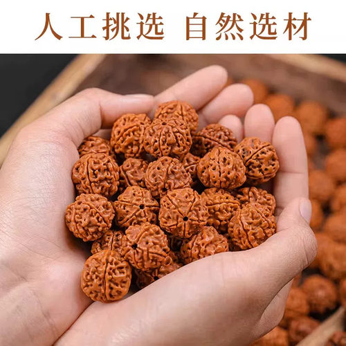 随身把玩减压养生天然尼泊尔大金刚菩提子散珠原籽文玩手工DIY用