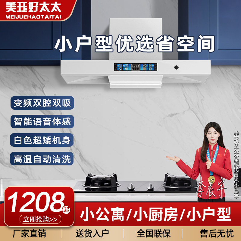 油烟机顶吸白色变频电机T型欧式