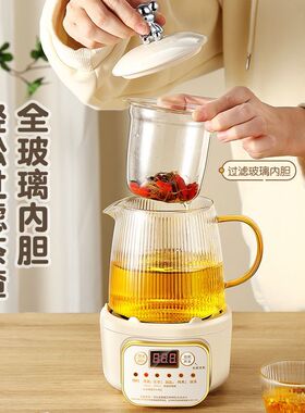 全自动养生壶煮茶器办公