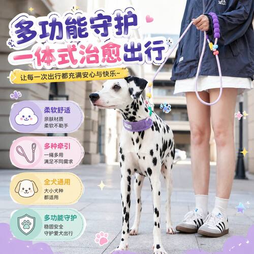 狗狗牵引绳遛子p链防爆冲
