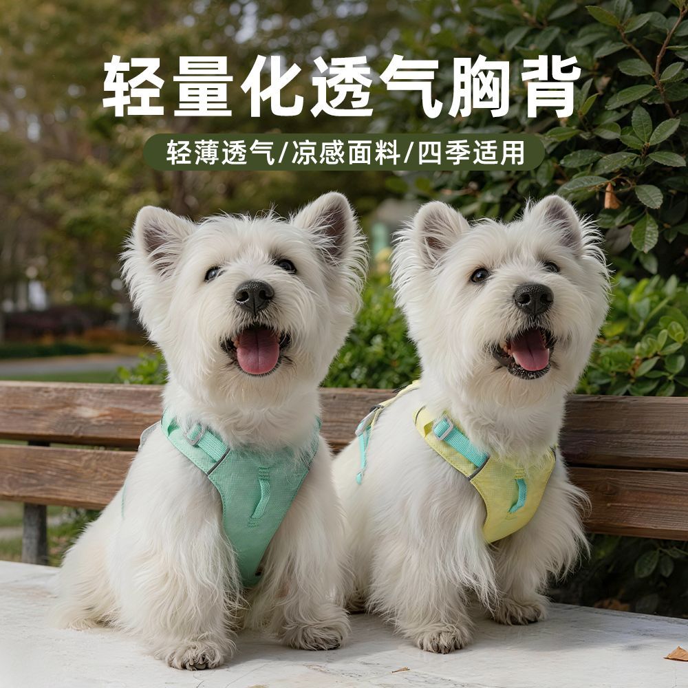 狗狗牵引绳轻量背带胸背