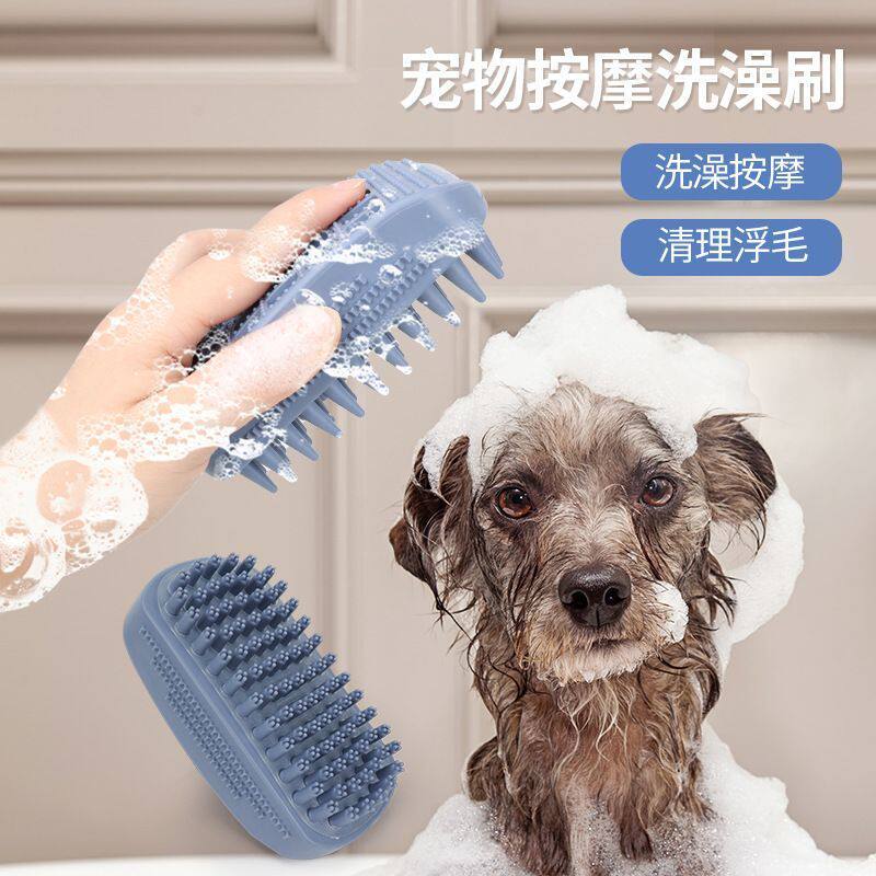 宠物洗澡刷中大型狗狗按